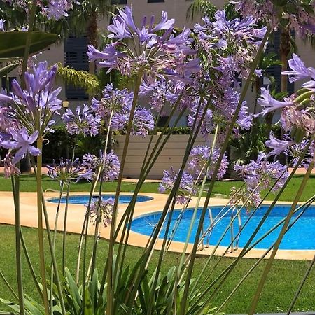 Apartment De Jardines Denia Zewnętrze zdjęcie
